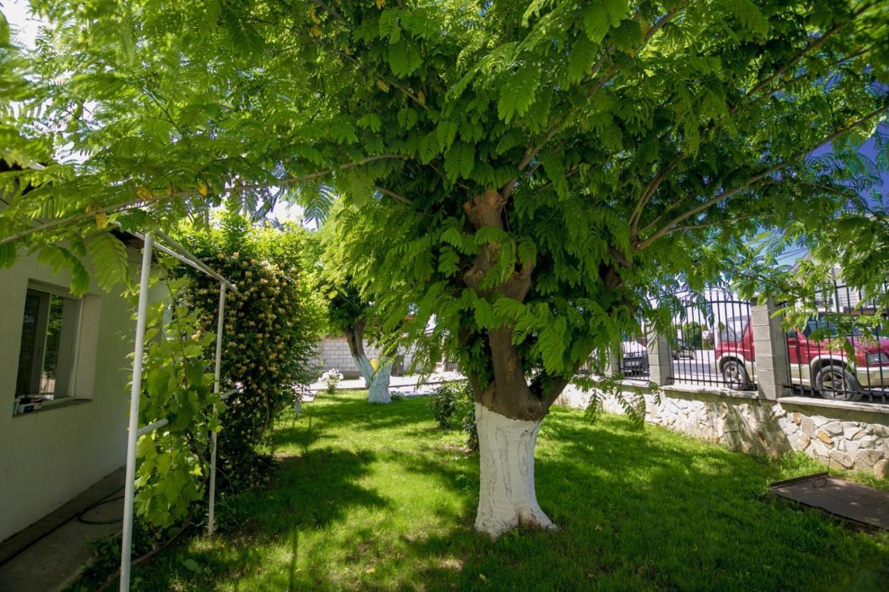 ホテル Casa Iordachescu ドウア・マ エクステリア 写真